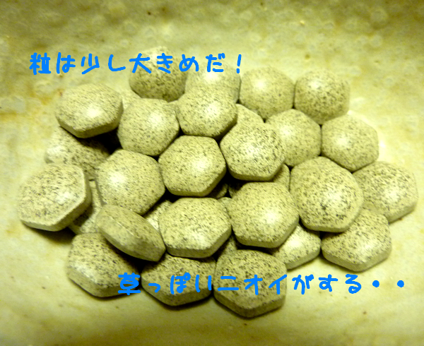 ���ѐ���}�JEX�Z�b�g���ʌ��R�~���r���[
